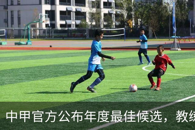 中甲官方公布年度最佳候选，教练、球员、媒体、球迷投票各占25%