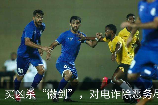 买凶杀“徽剑”，对电诈除恶务尽 | 新京报快评
