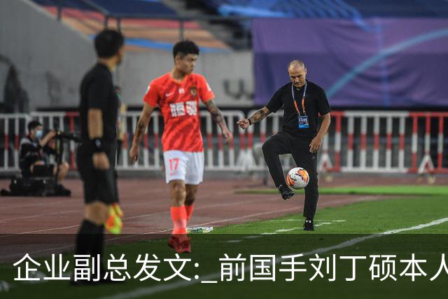 企业副总发文: 前国手刘丁硕本人就是饭圈，一直在给乒乓饭圈续命