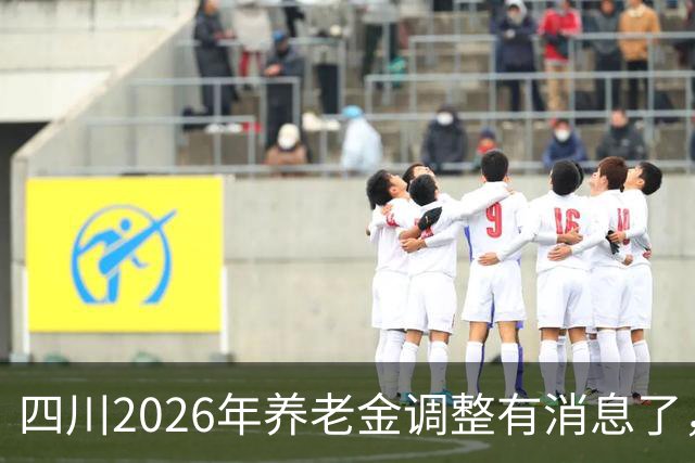 四川2026年养老金调整有消息了，城乡居民养老金每月至少涨30元？