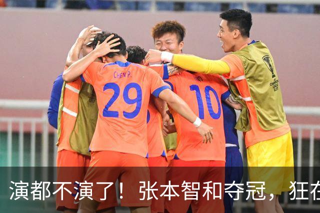 演都不演了！张本智和夺冠，狂在林诗栋球迷前挑衅，手指日本国旗