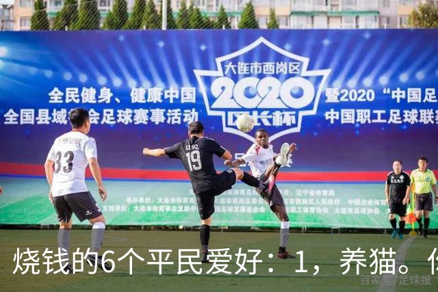 烧钱的6个平民爱好：1，养猫。你以为养的是猫…