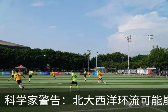 科学家警告：北大西洋环流可能崩溃，欧洲或将进入“冰河时代”