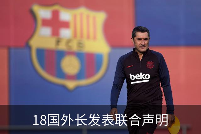 18国外长发表联合声明